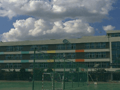 다시 만난 너는