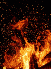 분노하며 쓰는 글