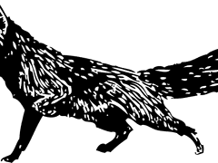 해리엇 커너 / 슬리데린 / 5학년