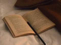 할로세인 몽상가