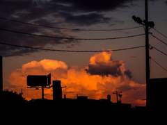 鹿目 桔梗 _ 히어로과 3학년