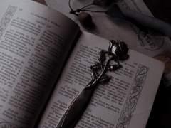 [호우] 위험하게, 달콤하게.