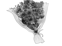 [WEB재록] 갤리라이 환생AU 원고