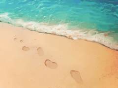 스나오사/졸업여행