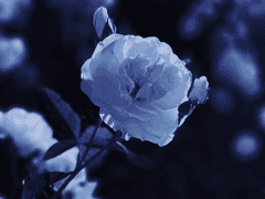 애초에 약속 같은 거,