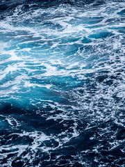 비타 / 티타니아