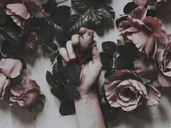 ✝️ 히브리서 2:7.