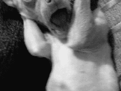 프랑스에서 장군신이랑 동거한 썰_0