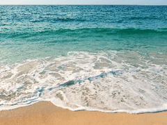 바닷가 소풍 <3>