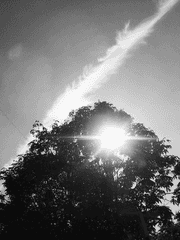 그냥...그렇다고