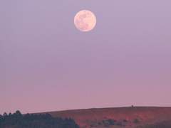 𝖫𝗂𝗉𝗈𝗌𝗈𝗅𝗎𝖻𝗅𝖾 𝖲𝗍𝖾𝗅𝗅𝖺