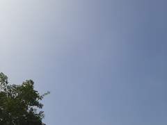 114. 다시 또 글을 적고