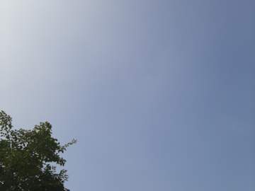 114. 다시 또 글을 적고