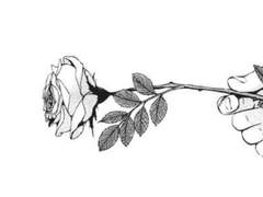 [ 도쿄 리벤저스 ] 붉은 장미