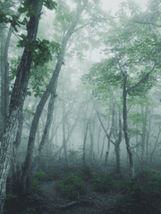 불기이회 (不期而會)