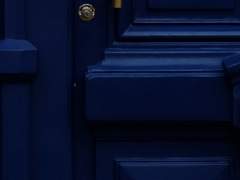 푸르른 눈동자에 연민을 담아