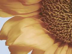 капсула времени