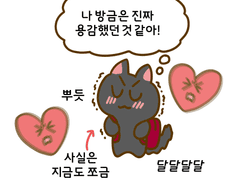 용감한 고양이의 모험