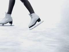 햇빛 아래 활짝 핀 얼음 꽃