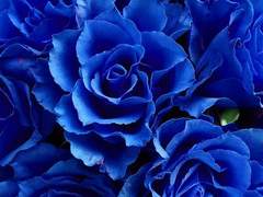 지금부터 나에게 집중할까?