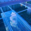 ㅎ으로 시작하는 그 사람