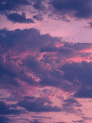 구오빠에 진심이었던