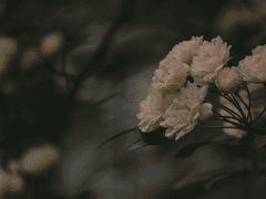 설하고등학교 - 주채영