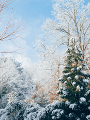 눈오는 도토리마을