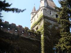 [FE풍화설월]외눈One Eye