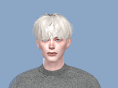 [심즈4/심만들기] 내 취향 소나무네..