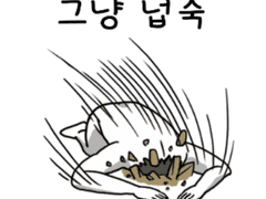 블랙자칼 익명게시판