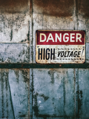 좀비, 인생의 동반자