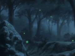 새벽의 별과 반딧불이