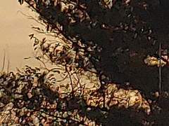 V | 발명가 악당!