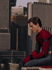 꽃의 짧은 순간들