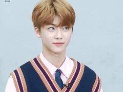 센티넬 클래식 5