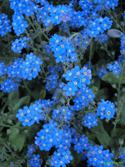 우젠)나의 아이