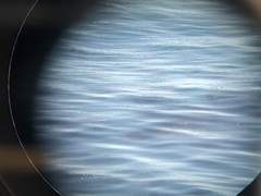 그러니까, 웃기지?