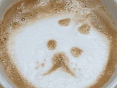 [괴도키드 팬픽]소실 - 외전 1