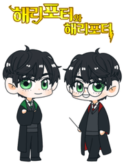 해리 포터와 해리 포터