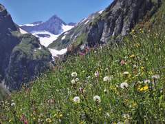 수고했어 오늘도.