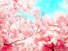 第1話。아기여우