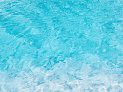 천진한, 삶이 좋아서