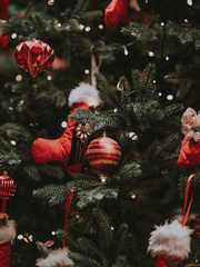 동거연애, 신혼집, 육아일기 시리즈