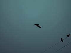 아무 일도 없이 지나간 크리스마스