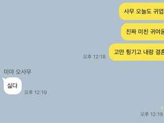 쫌쫌따리 하이큐 카톡 드림