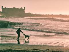 청려문대 / 확신