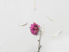 [흡툭죽/칸나기] Sway