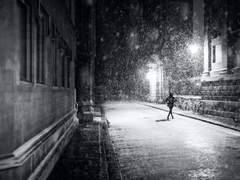 :𝐅𝐫𝐮𝐬𝐭𝐫𝐚 𝐒𝐩𝐞𝐜𝐮𝐥𝐮𝐦