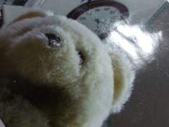 120. 기다리고 있을 늬들이랑 누나랑 형을 위해 적었어.